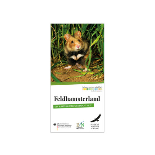 Flyer: Feldhamsterland – Der bunte Baumeister braucht Hilfe
