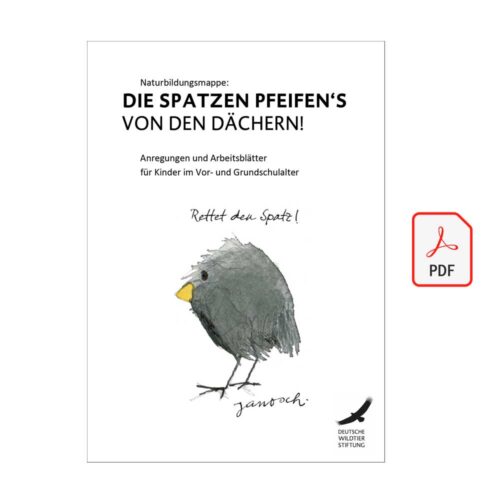 NATURBILDUNGSMAPPE „Die Spatzen pfeifen’s von den Dächern“ als PDF