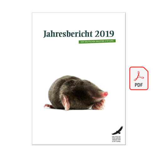 Jahresbericht 2019 als PDF