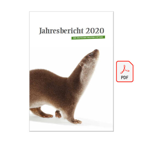 Jahresbericht 2020 als PDF