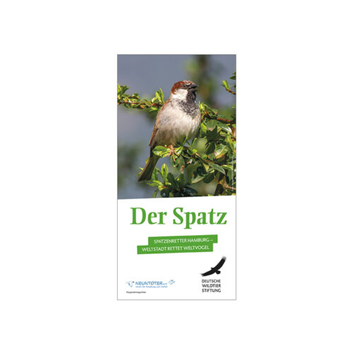 Cover Flyer Der Spatz