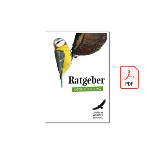 Cover Ratgeber Vogelfütterung als PDF