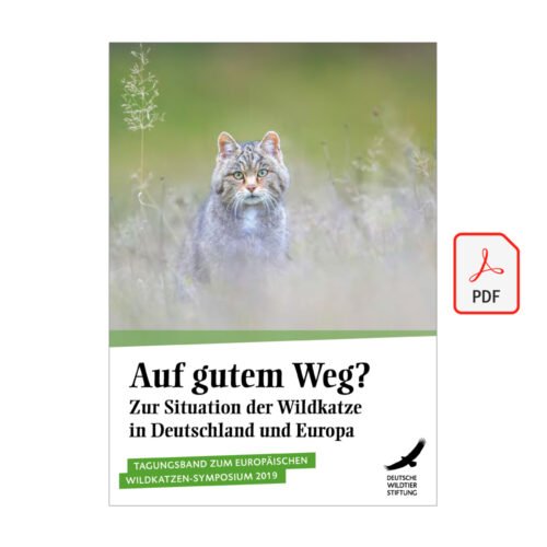 Tagungsband „Auf gutem Weg? Zur Situation der Wildkatze in Deutschland und Europa“ als PDF
