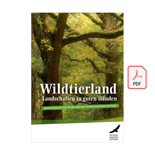 Cover Wildtierland als PDF