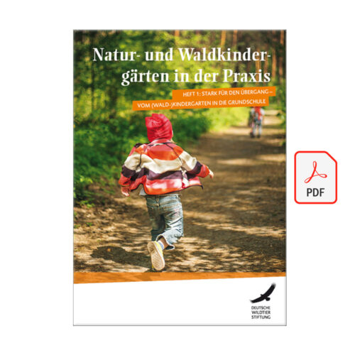 Heft 1: Natur- und Waldkindergärten in der Praxis „Stark für den Übergang vom (Wald-)Kindergarten in die Grundschule“ als PDF