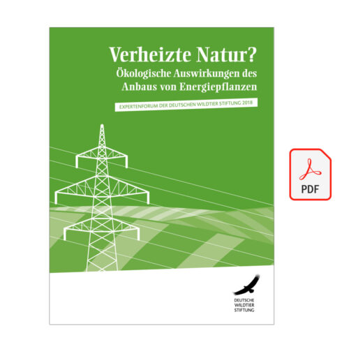 Expertenforum 2018 – Verheizte Natur? – Ökologische Auswirkungen des Anbaus von Energiepflanzen als PDF
