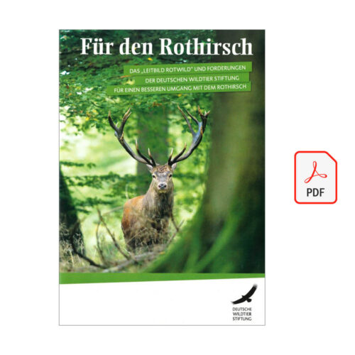 Cover Broschüre für den Rothirsch als PDF