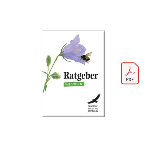 Cover Ratgeber Wildbienen pdf