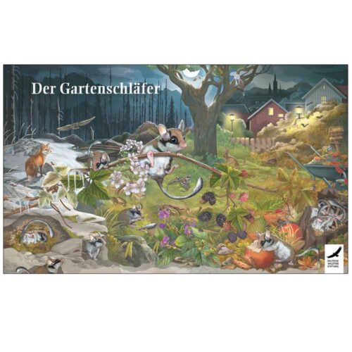 Poster & Ausmalbild „Der Gartenschläfer“