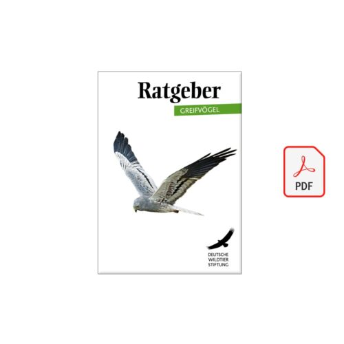Cover Ratgeber Greifvögel als PDF