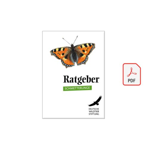 Cover Ratgeber Schmetterlinge als PDF