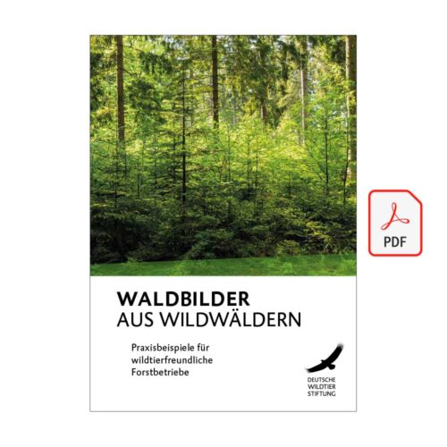 WALDBILDER AUS WILDWÄLDERN als PDF