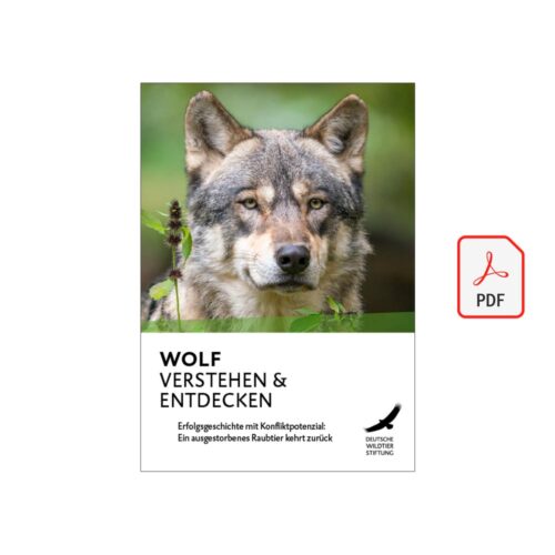 WOLF VERSTEHEN & ENTDECKEN als PDF