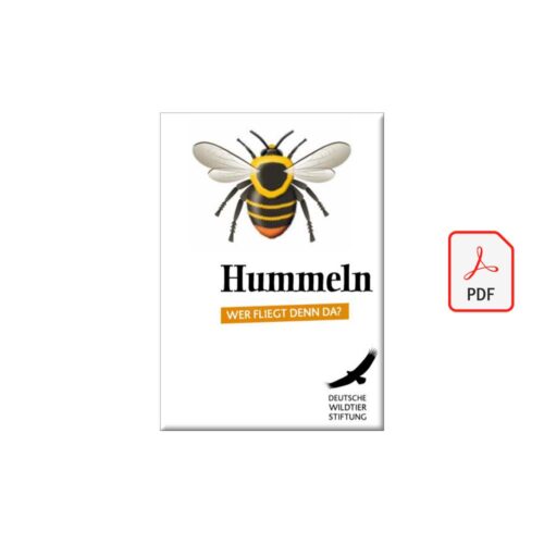Cover Ratgeber Hummeln als PDF