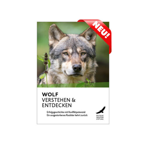 Cover Wolf Verstehen und Entdecken neu