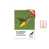 Cover Wildbienen Verstehen und Entdecken als PDF neu