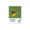 Cover Wildbienen Verstehen und Entdecken