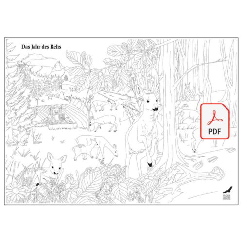 Ausmalbild „Das Jahr des Rehs“ als PDF