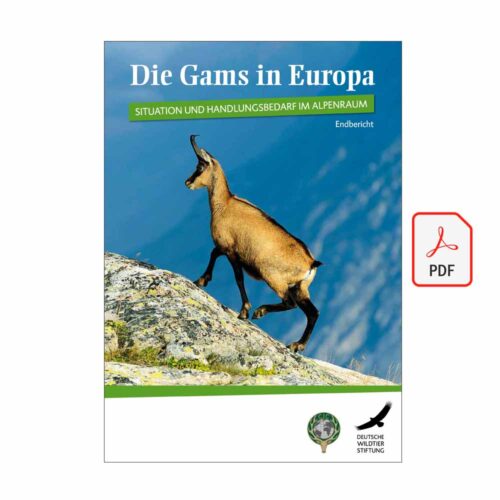 Endbericht – Die Gams in Europa: Situation und Handlungsbedarf im Alpenraum als PDF