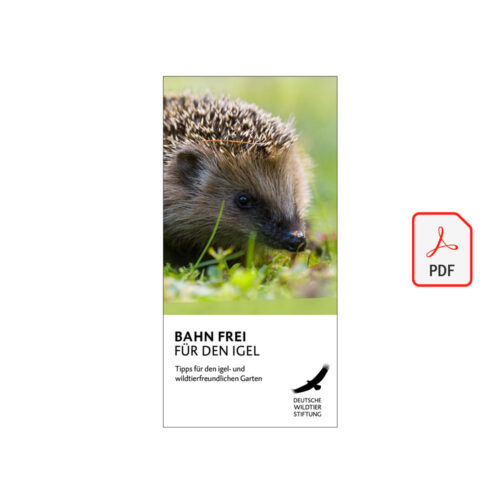 BAHN FREI FÜR DEN IGEL – Tipps für den igel- und wildtierfreundlichen Garten als PDF