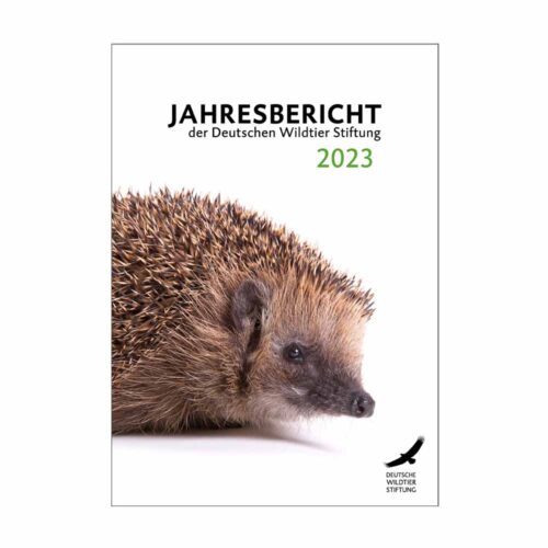 Jahresbericht 2023