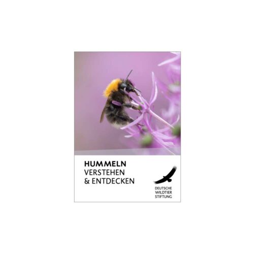 Cover Hummel-Ratgeber