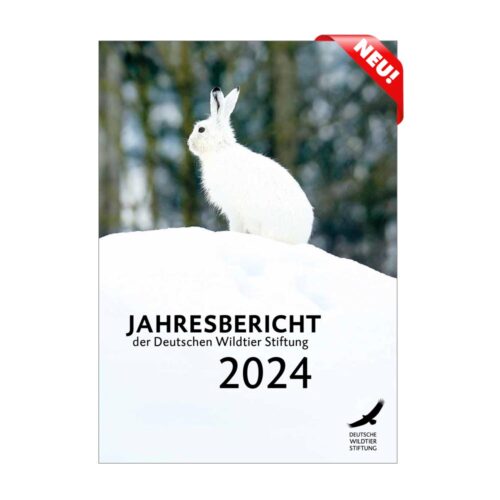 JAHRESBERICHT 2024