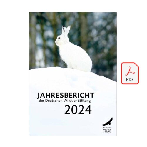 JAHRESBERICHT 2024 als PDF