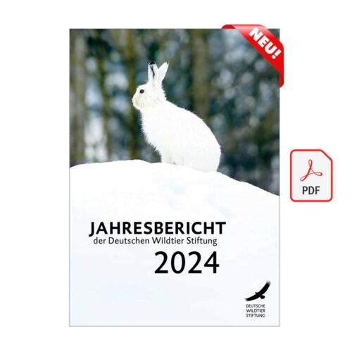 JAHRESBERICHT 2024 als PDF