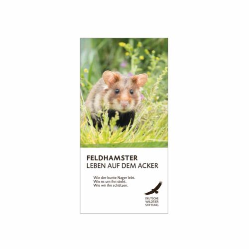 FELDHAMSTER FLYER 2025