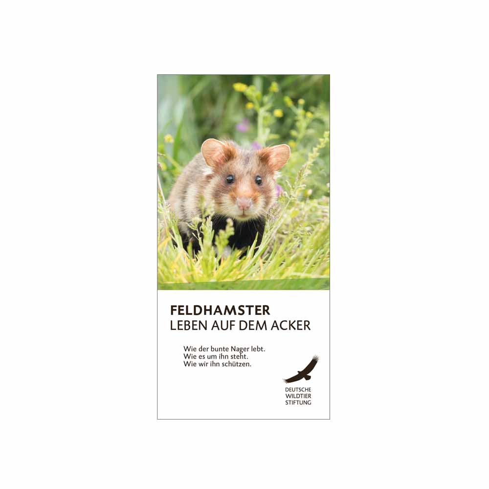 Feldhamster Flyer Feldhamster Flyer