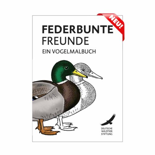 VOGELMALBUCH „Federbunte Freunde“