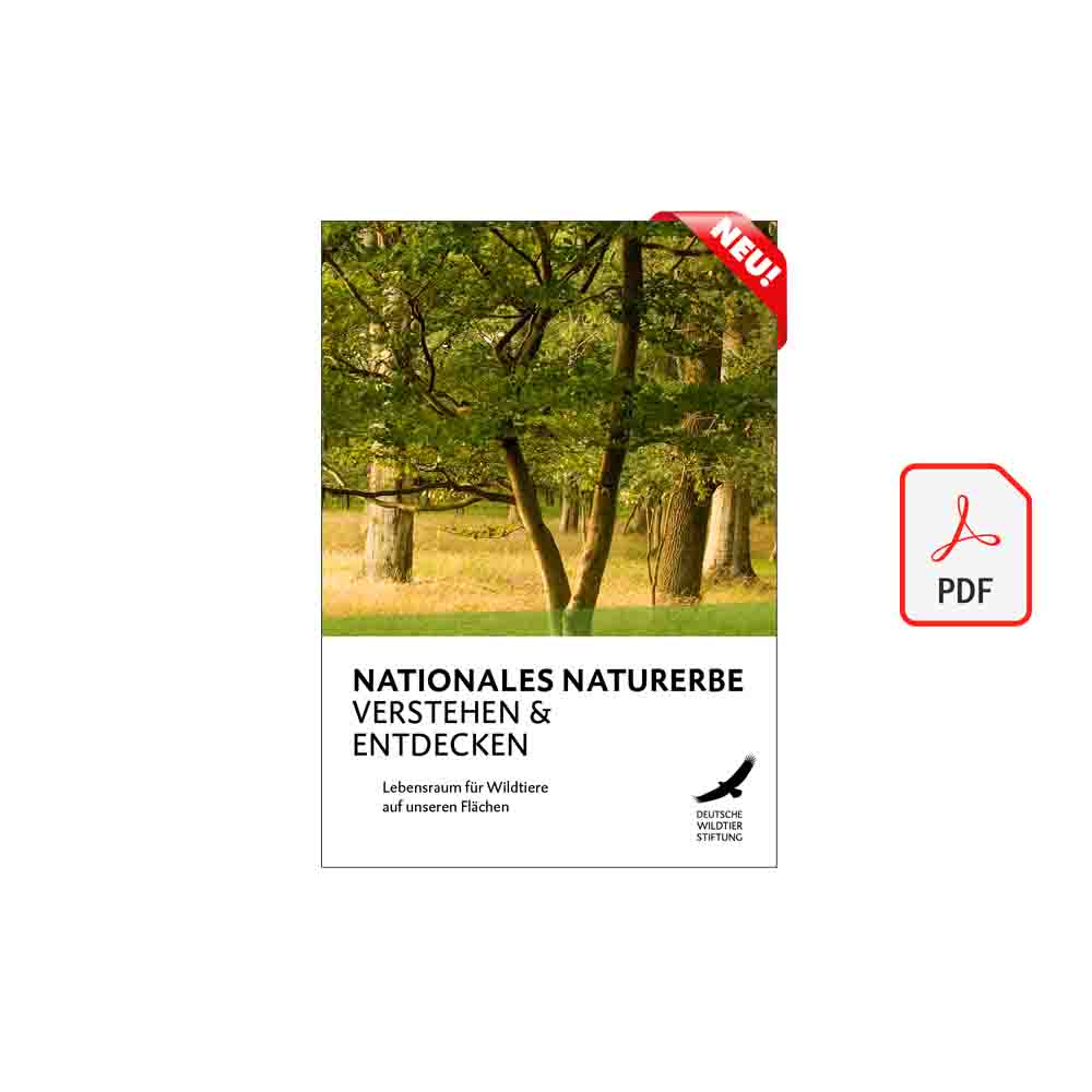 Nationales Naturerbe Erleben und Entdecken Nationales Naturerbe Erleben und Entdecken